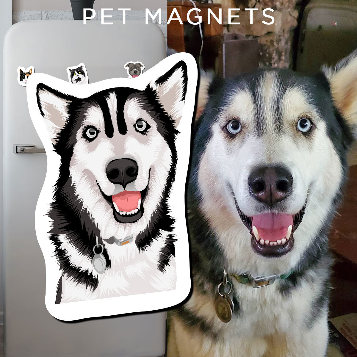 Custom Dog Face Magnets